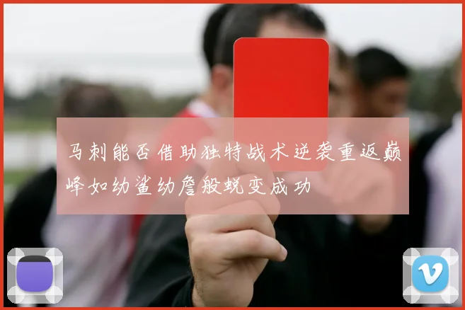 马刺能否借助独特战术逆袭重返巅峰如幼鲨幼詹般蜕变成功